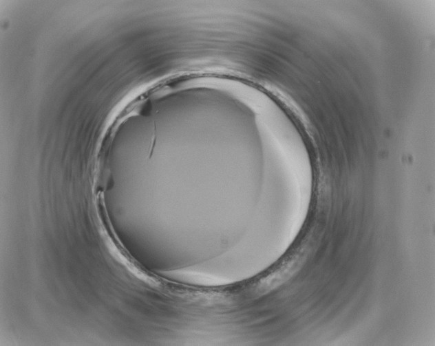 X0000087700941200706011741