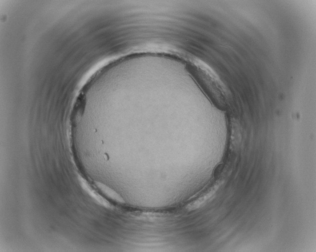 X0000087700942200706011741