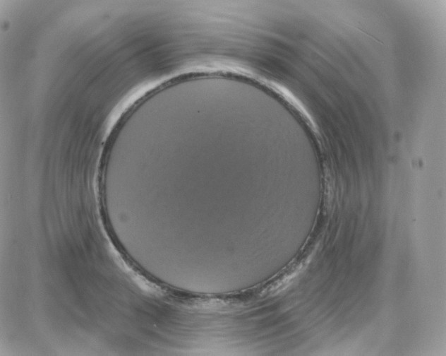 X0000087700943200706011741