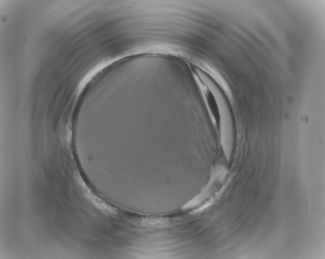 X0000087700944200706011741