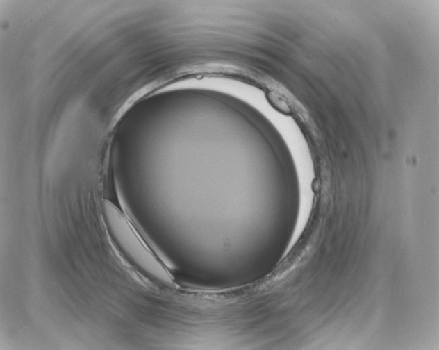 X0000087700945200706011741