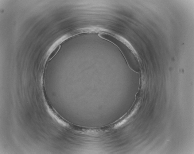 X0000087700946200706011741