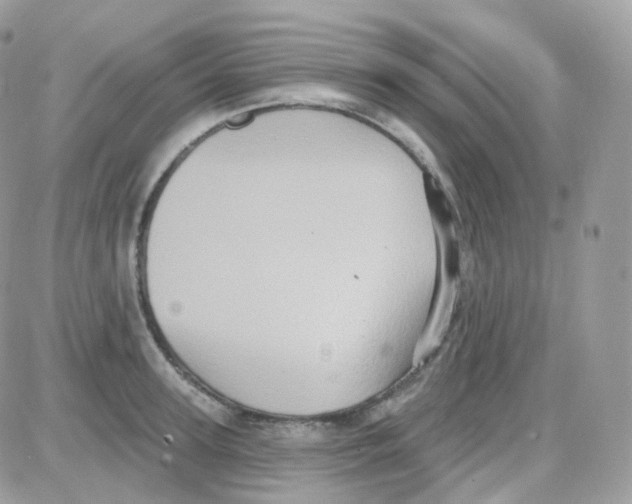 X0000087700947200706011741