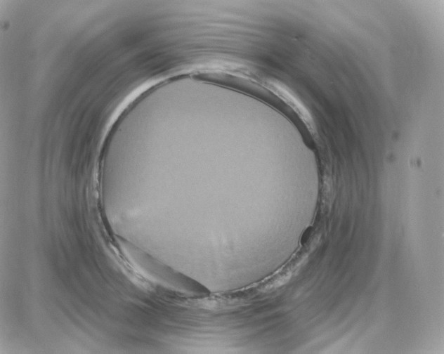 X0000087700948200706011741