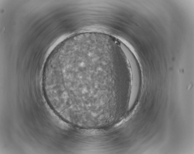 X0000087700949200706011741