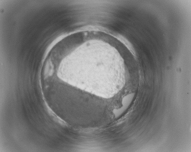 X0000087700950200706011741