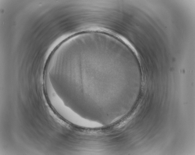 X0000087700951200706011741