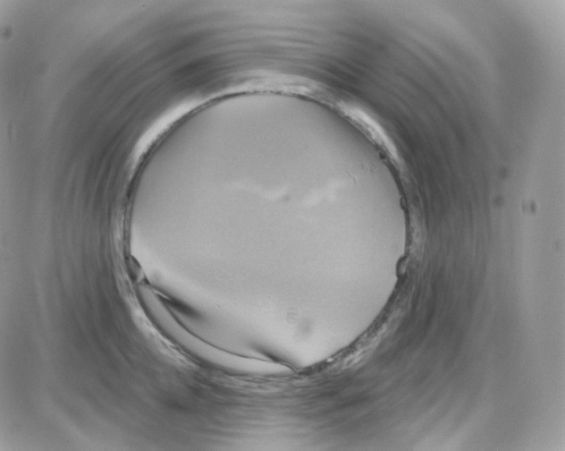 X0000087700952200706011741