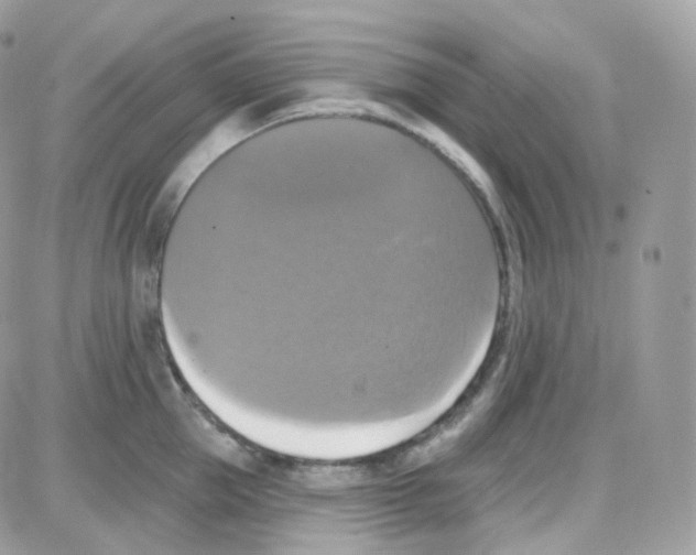 X0000087700953200706011741