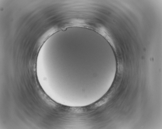 X0000087700954200706011741