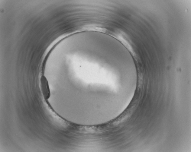 X0000087700955200706011741