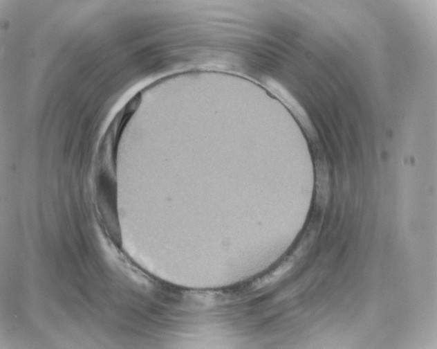 X0000087700956200706011741