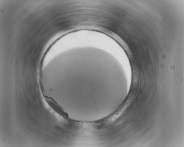 X0000087700958200706011741