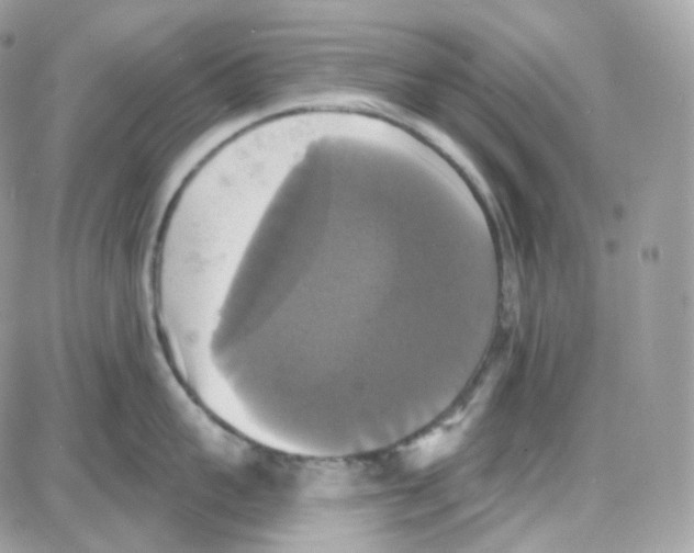 X0000087700959200706011741