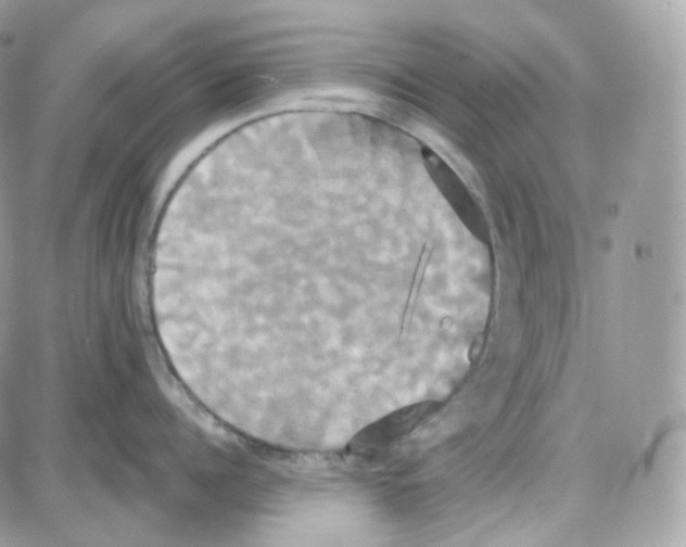 X0000087700960200706011741