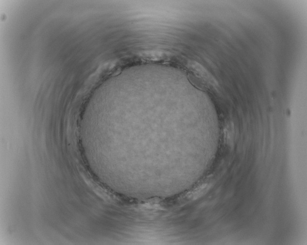 X0000087700961200706011741