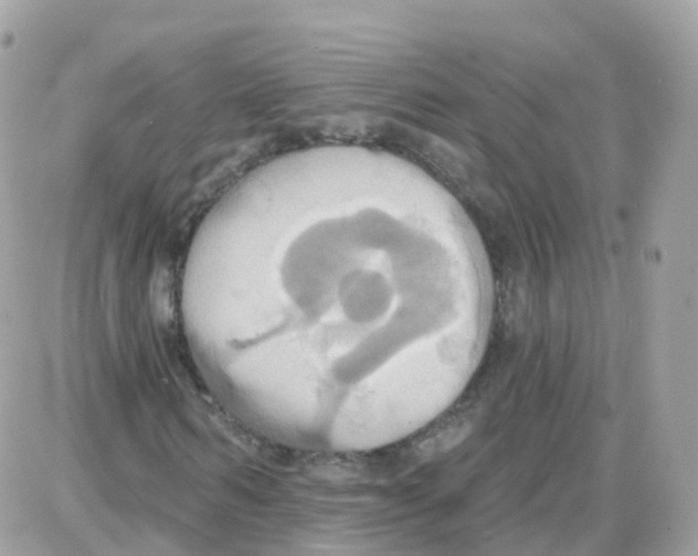 X0000087700962200706011741