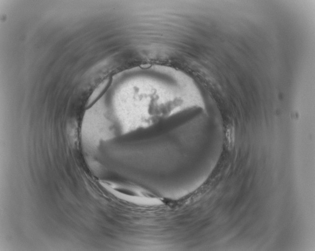 X0000087700963200706011741