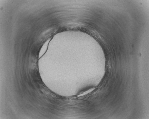 X0000087700964200706011741