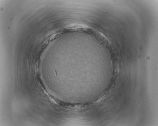 X0000087700965200706011741