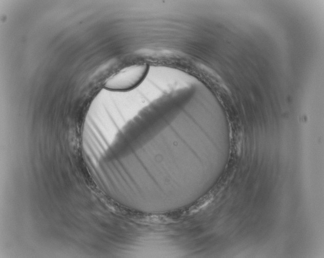 X0000087700966200706011741