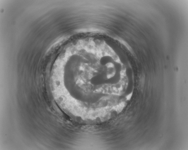 X0000087700967200706011741