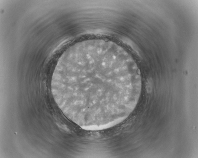 X0000087700968200706011741