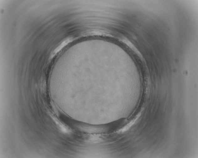 X0000087700969200706011740