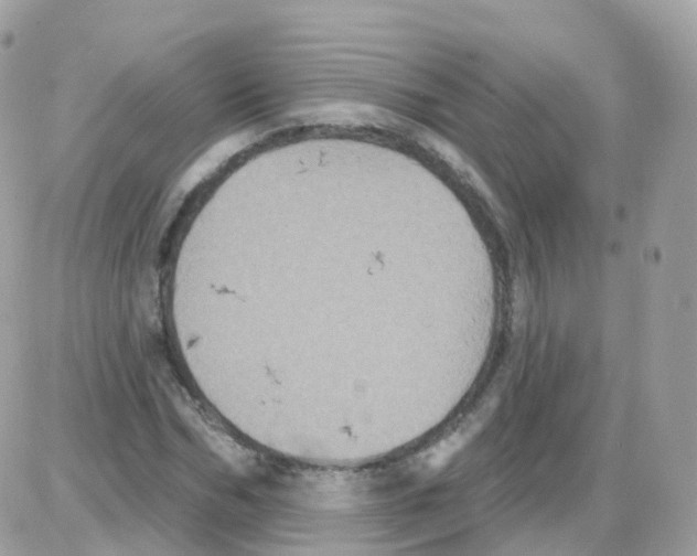 X0000087700970200706011740