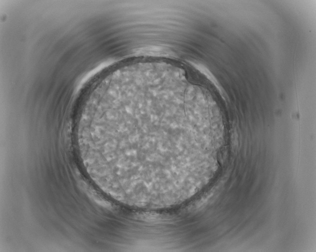 X0000087700971200706011740