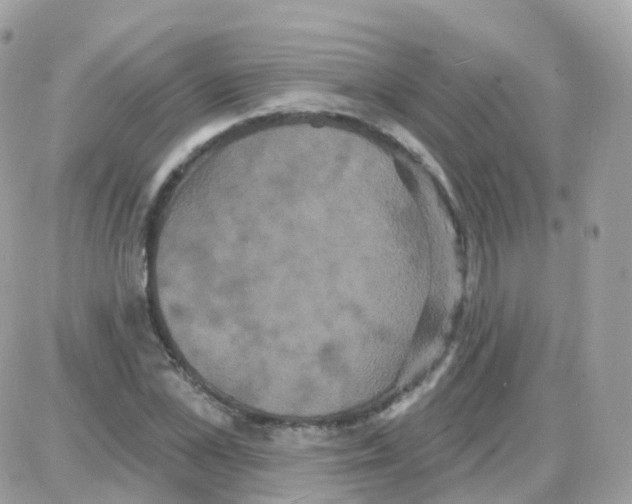 X0000087700973200706011740