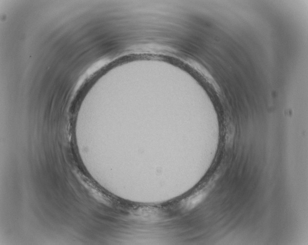 X0000087700974200706011740