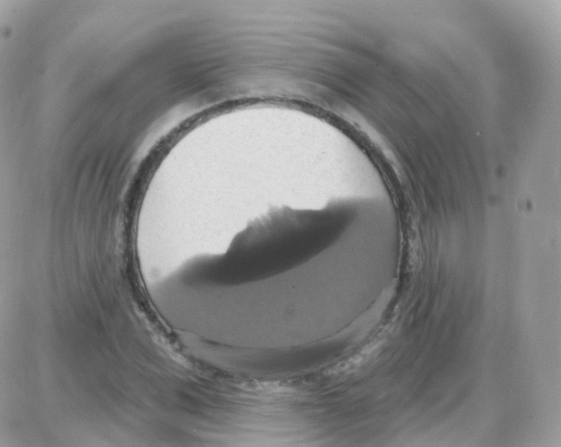 X0000087700975200706011740