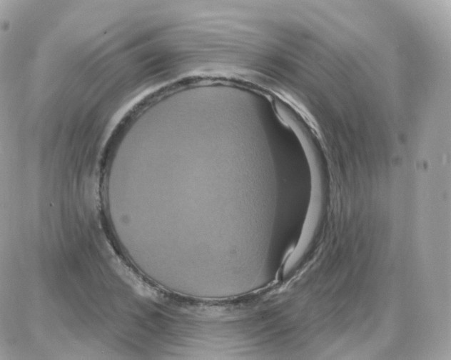 X0000087700976200706011740