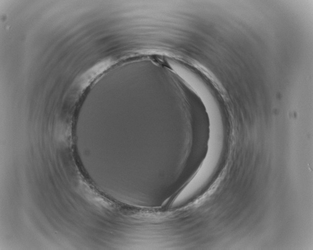 X0000087700977200706011740