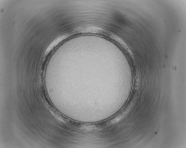 X0000087700978200706011740