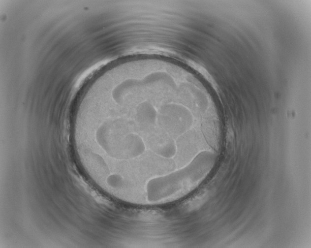 X0000087700979200706011740