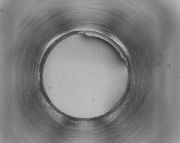 X0000087700980200706011740