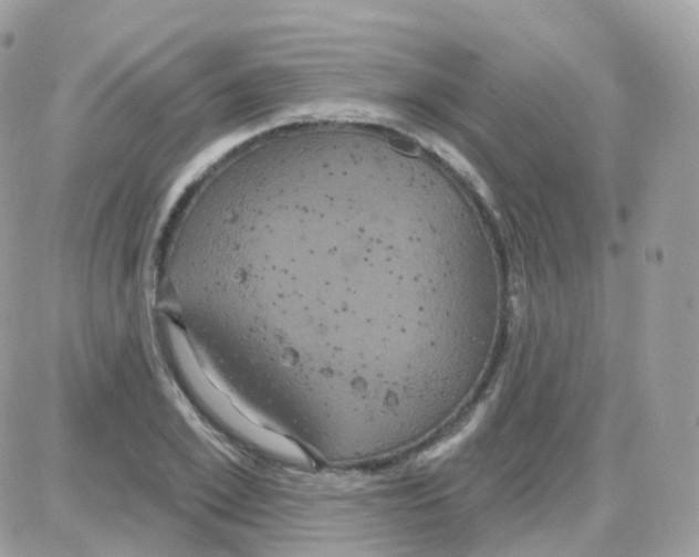 X0000087700981200706011740