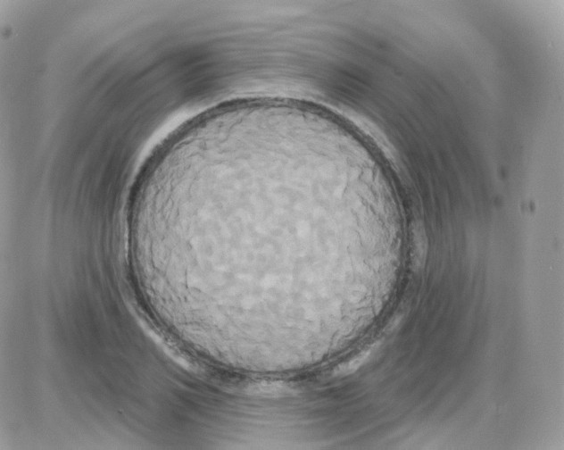 X0000087700982200706011740