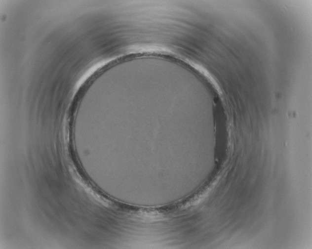 X0000087700983200706011740