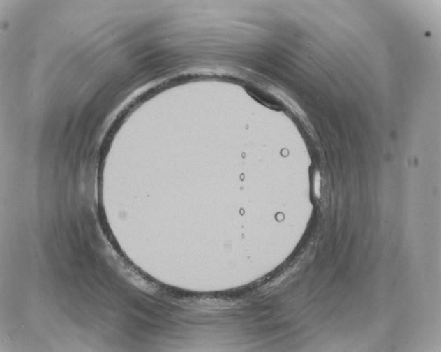 X0000087700984200706011740