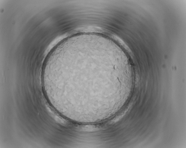 X0000087700986200706011740