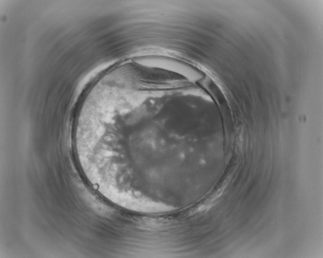 X0000087700987200706011740