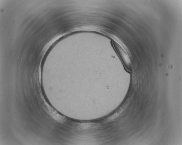 X0000087700988200706011740