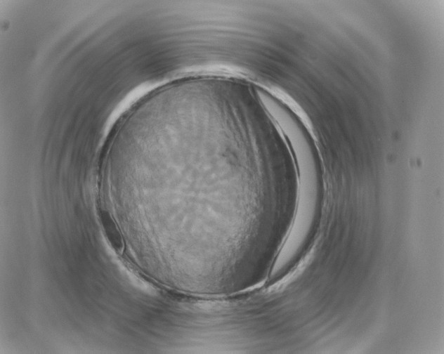 X0000087700989200706011740