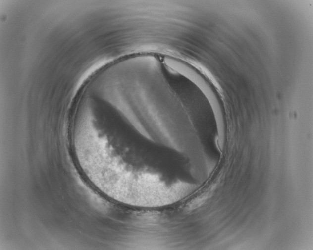 X0000087700991200706011740