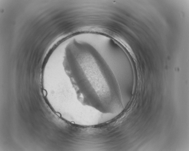 X0000087700992200706011740