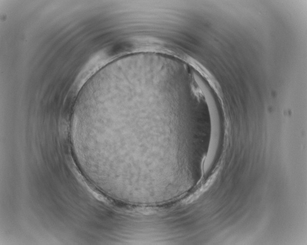 X0000087700993200706011740