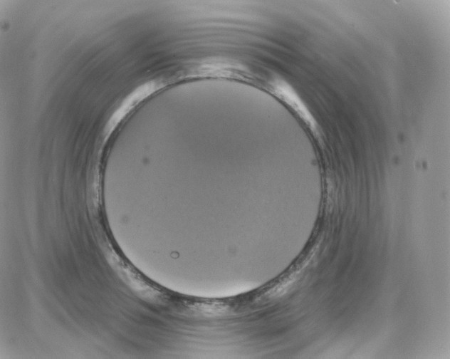 X0000087700994200706011740